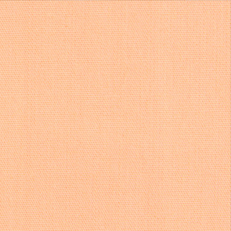 PANTONE 13-1023 Color of the Year 2024 Peach Shades, Color Of The Year 2024, Beige Shades, High End Lighting, Pantone Color Of The Year, Furniture Luxury, Peach Fuzz, Italian Designer, Luxury Lighting