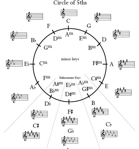 Learn about circle of fifths with this free tutorial Guitar Essentials, Circle Of 5ths, Keyboard Chords, Musical Elements, Music Theory Worksheets, Clarinet Music, Circle Of Fifths, Piano Music Lessons, Music Theory Guitar