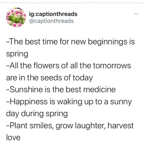 Awesome Spring season captions #instagram #instagramcaption #spring Dope Captions, Summer Instagram Captions, Dope Captions For Instagram, Spring Instagram, Cute Captions, Cute Instagram Captions, Ig Captions, Falling In Love Quotes, Please Stop