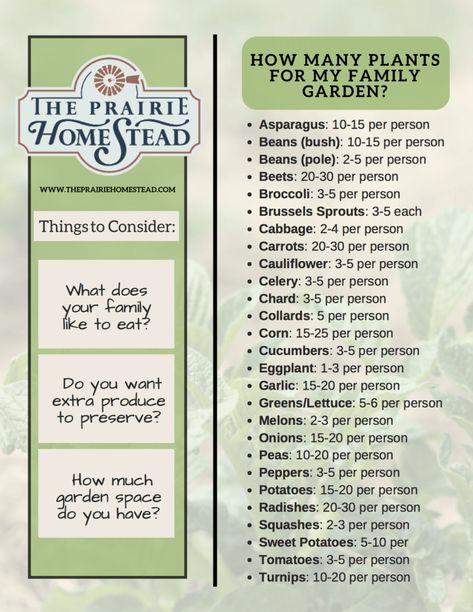 how much to plant in your garden per person to feed your family Plantarea Legumelor, Prairie Homestead, Homestead Gardens, Victory Garden, Organic Vegetable Garden, Survival Gardening, Family Garden, Organic Gardening Tips, Food Garden