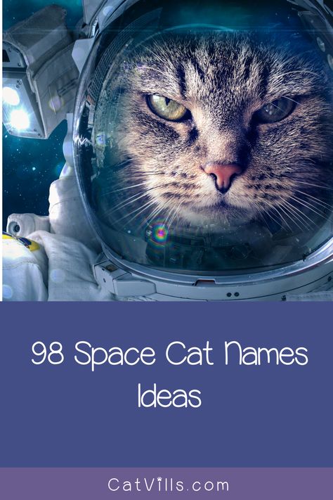 Choosing space cat names for you kitties may be the coolest choice of all, especially for astronomy and astrology buffs! Star Puns, Names For Cats, Boy Cat Names, Space Names, Leia Star Wars, Kitten Names, World Cat, Cat Ideas, Boy Cat