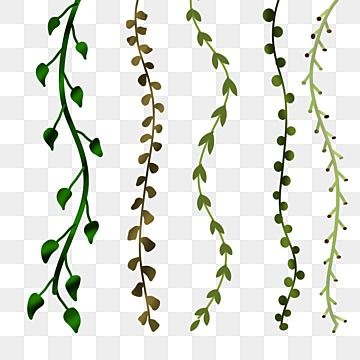 Pohon Aesthetic Art, Tanaman Png, Tanaman Aesthetic, Tangled Castle, Mind Maping, Flora Background, School Wall Art Ideas, Png Nature, Leaves Aesthetic