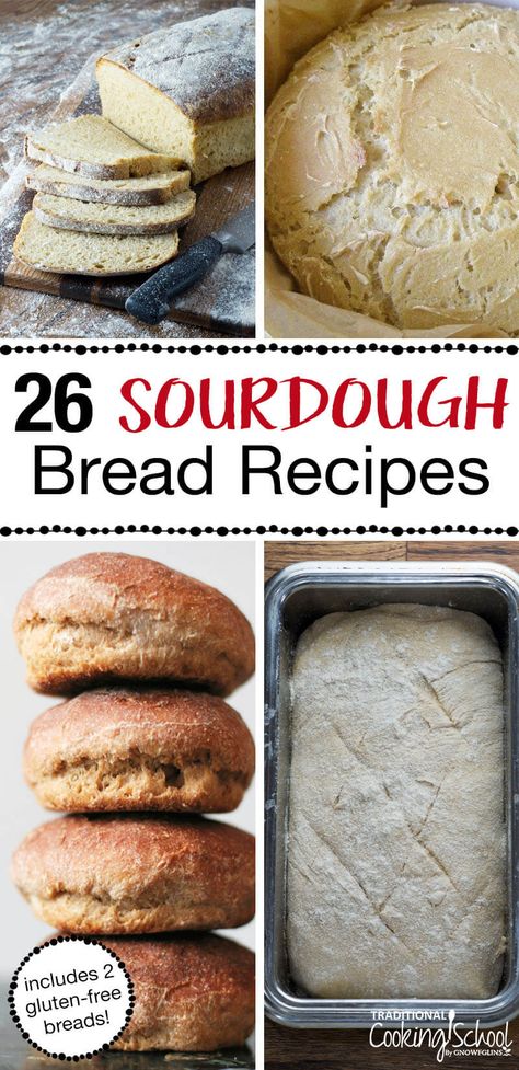 You’ve got a sourdough starter bubbling away, just waiting to be made into delicious, chewy and crusty sourdough bread for sandwiches, appetizers and more. But which recipe do you use? Here’s a compilation of 26 Easy Sourdough Bread Recipes for you to choose from. These no yeast homemade recipes are sure to become your new favorites! #sourdough #bread #wholewheat #recipe #easy #homemade Spelt Sourdough Bread, Sourdough Bread Recipes, Sandwiches Appetizers, Bread For Sandwiches, Easy Sourdough Bread, Gluten Free Sourdough Bread, Easy Sourdough Bread Recipe, Whole Wheat Sourdough, Making Grilled Cheese