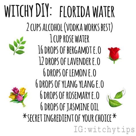 ✨ Witchy Tips ✨ (@witchytips) on Instagram: “DIY Florida Water! This is MY recipe, although their are many floating around... but the main…” Florida Water Recipe, Smudging Spray, Witchcraft Diy, Flavored Waters, Smudge Spray, Goddess Vibes, Sales Ideas, Florida Water, Inner Witch