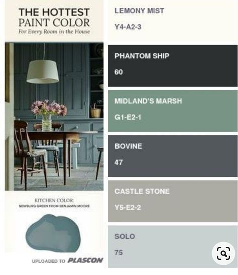 Plascon Paint Colours, Plascon Paint, Plascon Colours, Matching Ideas, Colour Mood, Homemade Chalk Paint, Wall Colours, Amazon Jungle, Colour Swatches