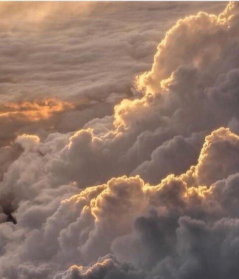 LM Loves | Creamy, dreamy golden lit clouds by @miguel___broekhuizen via @c__l__o The Sky, Sun