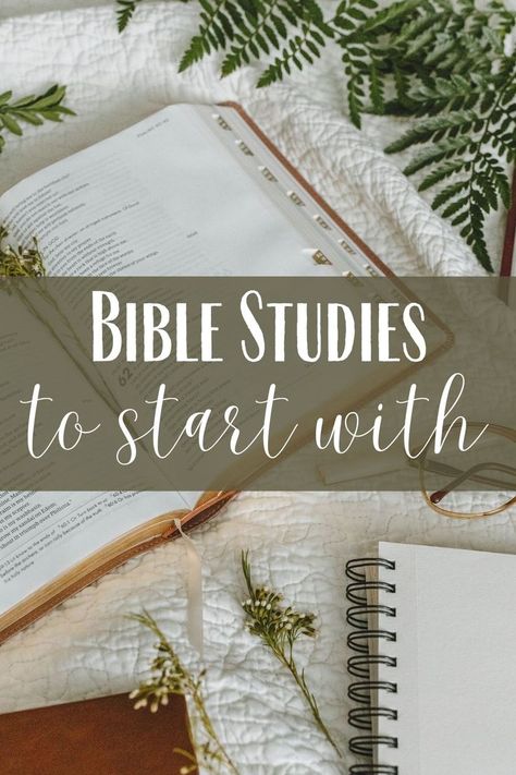 best bible study for new believer Bible Study For New Believers, Bible Journaling For Beginners, Womens Bible Study, Christian Woman, Christian Resources, Creating A Vision Board, Vision Board Inspiration, Scripture Cards, The Word Of God