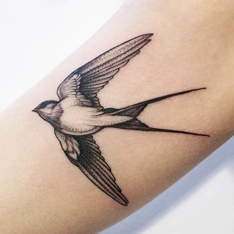 Swallow Tattoo Design, Swallow Bird Tattoos, Bird Tattoo Men, Tattoo Garden, Vogel Tattoo, Sparrow Tattoo, Swallow Tattoo, Inspiration Tattoos, Geniale Tattoos