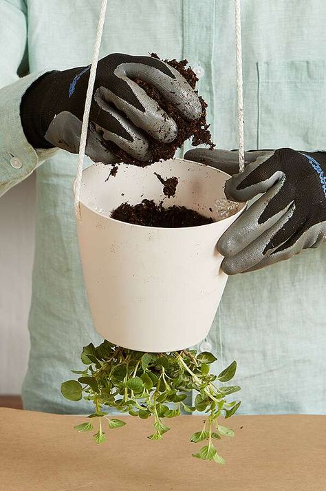 potting-soil-upside-down-planter-23e7505a Ceiling Garden, Upside Down Tomato Planter, Upside Down Plants, Diy Self Watering Planter, Tomato Planter, Garden Cover, Indoor Planting, Tips For Growing Tomatoes, Weaving Diy