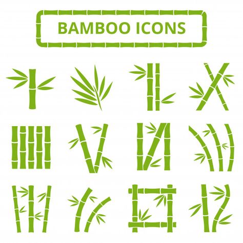 Zen Plants, Bamboo Illustration, Red Panda Cartoon, Bamboo Drawing, Graphic Design Cv, Cute Panda Cartoon, Bamboo Stalks, Fruit Vector, Doodle Icon