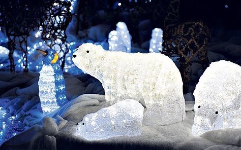 Polar Bear Diy, Polar Bear Christmas Decorations, Christmas Light Ideas, Indoor Christmas Lights, House Lights, Christmas Light Installation, Hanging Christmas Lights, Christmas House Lights, Polar Bear Christmas