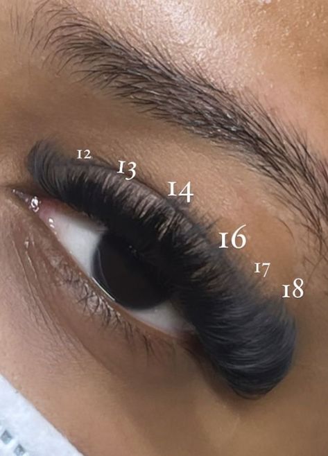 Mega Hybrid Lash Extensions, Eyebrow Black Women, Hybrid Lashes Black Women, Volume Cat Eye Lash Extensions D Curl, Volume Lash Set Mapping, 2 Pretty 4 Lame, Cat Eye Lash Extensions Black Women, Lashes Extensions Mapping, Big Lash Extensions