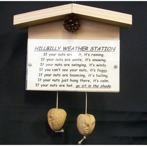 hillbilly crafts | Convent Crafts / Hillbilly weather station novelty gag gift Hillbilly Gifts, Funny Christmas Signs, Diy Gag Gifts, Favorite Weather, Joke Gifts, Texas Weather, Silly Gifts, Gag Gifts Christmas, Weather Station