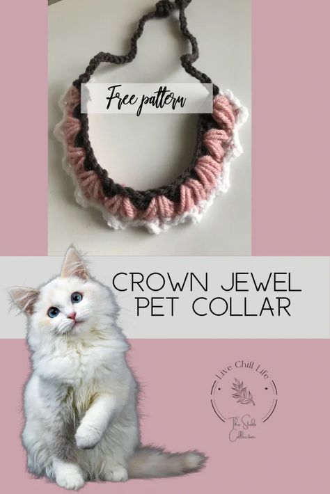 Crochet Dog Collar, Crochet Pet Collar, Dog Clothes Patterns Sewing, Chill Life, Crochet Pet, The Crown Jewels, Easy Pets, Accent Colors For Gray, Scrap Yarn