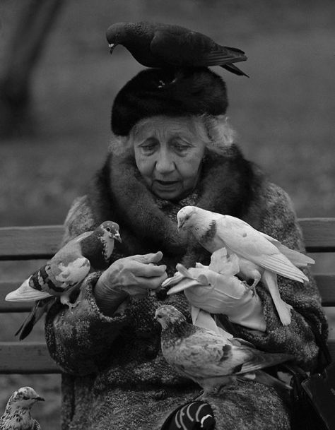 Halnor Mank, Bird Lady of Central Park Bird Lady, Central Park Nyc, Julie Andrews, Old Woman, Appaloosa, Mary Poppins, Jolie Photo, Quarter Horse, People Of The World