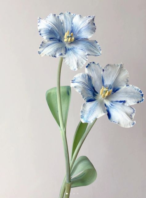 from xiaohongshu Flowers Art Reference, Floral Reference Photos, Flower Art Reference, Flower Reference Photo, Reference Flower, Plants Reference, Flowers Reference, Flower Portfolio, Irises Flowers