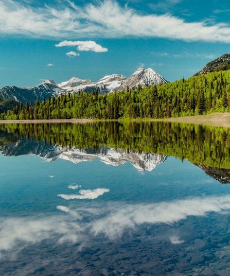 A beautiful landscape view of Tibble Fork. A great place to go paddle boarding, camping, or fishing. Tibble Fork Reservoir, American Fork Canyon, Landscape View, Forest Service, Silver Lake, Paddle Boarding, Horseback Riding, Outdoor Recreation, Beautiful Landscapes