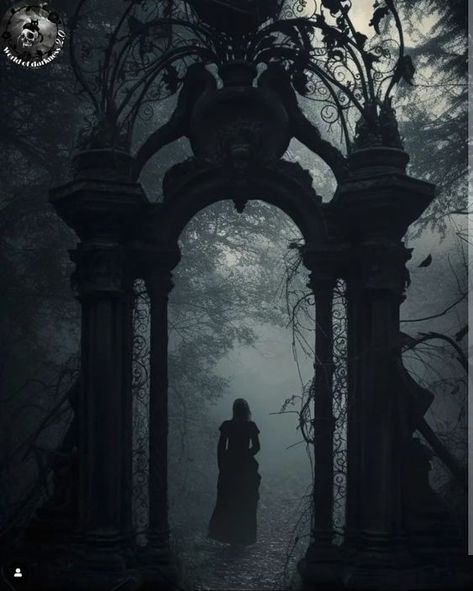 Black Horror Aesthetic, Gothic Horror Aesthetic, Appalachian Gothic, Dark Fairytale Aesthetic, Faerie Aesthetic, Magic Illustration, Dark Window, Dark Windows, Fairytale Aesthetic