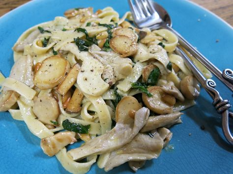 Creamy Lemon Fettucine with Mushroom, Spinach and Pine Nuts Mushroom Fettuccine, Vegetarian Pasta Dishes, Mushroom Spinach, National Novel Writing Month, Vegetarian Pasta, Creamy Mushrooms, Pizza Pasta, Pine Nuts, Novel Writing