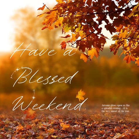 Weekend Blessings, Saturday Greetings, Weekend Images, Autumn Blessings, Autumn Weekend, Morning Blessings, Morning Wishes, Bible Encouragement, Morning Wish