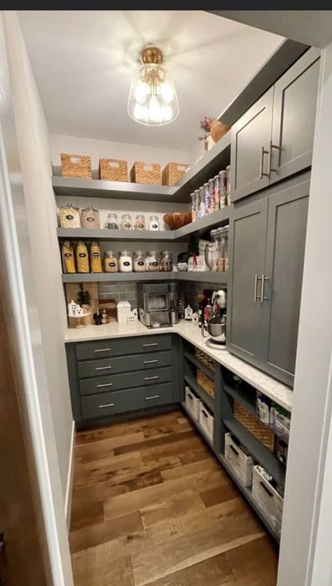 Small Walking Pantry Ideas, Pantry With Built Ins, Pantry Upper Cabinet Ideas, Fun Pantry Ideas, Walk In Pantry With Drawers, Pantry With Upper Cabinets, Pantry Colors Walk In, Narrow Walk In Pantry Ideas, Pantry Base Cabinet