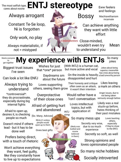 Entj Stereotypes, Entp X Entj Relationship, Mbti Stereotypes Vs Reality, Entj Personality Characters, Entj Girl, Entj Characters, Mbti Analysis, Entj Core, Entj Art