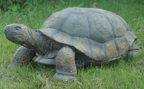 Large Turtle Statue Turtle Garden, Kawaii Turtle, Turtle Statue, Tortoise Care, Galapagos Tortoise, Turtle Decor, Turtle Figurines, Garden Statue, Animal Statues