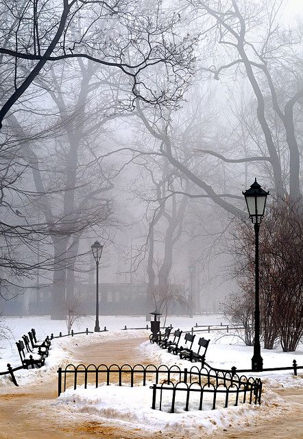 Winter morning fog - Krakow - Poland Book And Coffee, Snow Pictures, Morning Fog, Winter Szenen, Winter Morning, Krakow Poland, Winter Mornings, Winter Magic, Winter Scenery