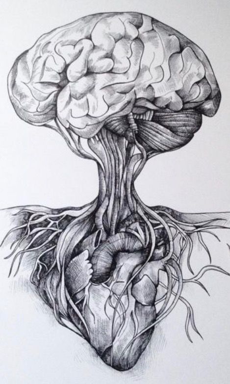 Brain connected to Heart Dark Mind, Medical Drawings, Brain Drawing, Brain Tattoo, Heart And Brain, Brain Art, Meaningful Drawings, Mind Control, Heart Drawing