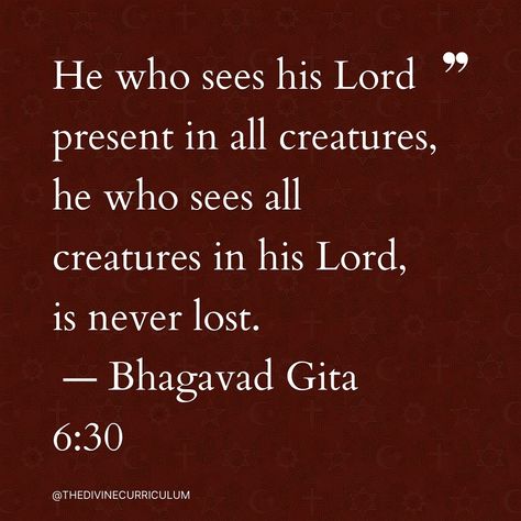 Discover the profound wisdom of the Bhagavad Gita: ‘He who sees his Lord present in all creatures, he who sees all creatures in his Lord, is never lost.’ — Bhagavad Gita 6:30. This quote reminds us that recognizing the divine in everyone fosters true unity and peace. 📖 By seeing all beings as interconnected through a higher power, we can bridge gaps between different faiths and cultivate a world of harmony and mutual respect. Let’s explore these timeless truths together and deepen our und... Bagavath Gita Quotes English, Bhagvadgita Quotes, Bhagvat Gita Quotes, Quotes From Bhagavad Gita, Iphone Board, Krsna Consciousness, Bhagvat Gita, What Is Peace, Bhagavad Gita Quotes