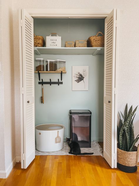 Litter Box In Closet, Cat Area, Cat Patio, Urban Outfitters Home, Green Diy, Cat Box, Cat Room, Cat Litter Box, Painting Bathroom