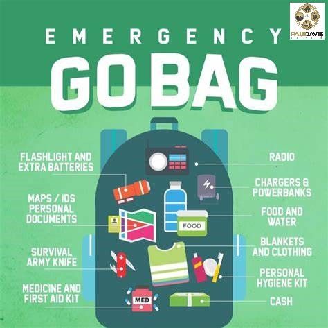 Emergency Bags, Home Emergency Kit, Preparedness Plan, Emergency Go Bag, Emergency Preparedness Plan, Survival Essentials, Brochure Ideas, Survival Stuff, Emergency Survival Kit