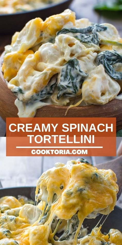 Tortellini Sauce Recipes, Creamy Spinach Tortellini, Baked Tortellini Recipes, Easy Tortellini Recipes, Easy Spinach Recipes, Spinach Pasta Recipes, Spinach Tortellini Soup, Spinach Tortellini, Tortellini Bake