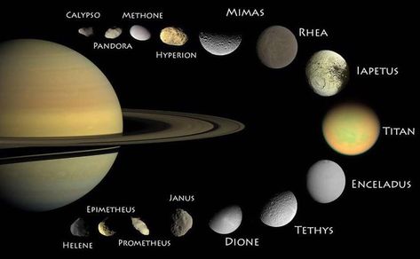 Saturn is a very large planet, and it is not surprising that it has many moons. In fact, Saturn comes in second place. Click for more information. Facts About Saturn, Jupiter Planet, Cassini Spacecraft, How The Universe Works, Saturns Moons, Impact Crater, Rings Of Saturn, Saturn Planet, Space Probe