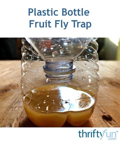 “We have tried many things to get rid of fruit flies in our home, and this is hands down the easiest, cheapest, and most effective way. One of the most important things in order to catch them is the bait you put out. Fruit flies can be more attracted to some things more than others, whether it's vinegar, bread, actual fruit, and so on. After lots of testing here, we've found ours love a concoction of rice wine vinegar and juice from an overripe lemon. ” Home Remedies For Flies, How To Catch Flies, Homemade Gnat Trap, Catch Fruit Flies, Fruit Flies In House, Fruit Fly Trap Diy, Fruit Fly Traps, Natural Cleaning Products Diy, Flies Outside