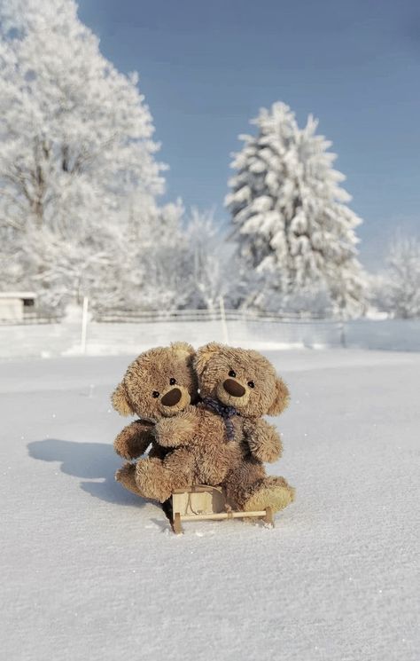 Wallpaper Teddy Bear, Teddy Bear Wallpaper, Christmas Bear, Bear Wallpaper, Christmas Snow, Winter Aesthetic, Sweet Memories, Baby Bear, Christmas Aesthetic