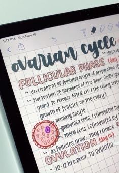 Notes On Notability, Writing Notes On Ipad, Aesthetic Notes Good Notes, Ovarian Cycle Notes, Ipad Notes Notability, Aesthetic Notability Notes, Notability Notes Aesthetic, Pretty Notes Ipad, Good Notes Writing