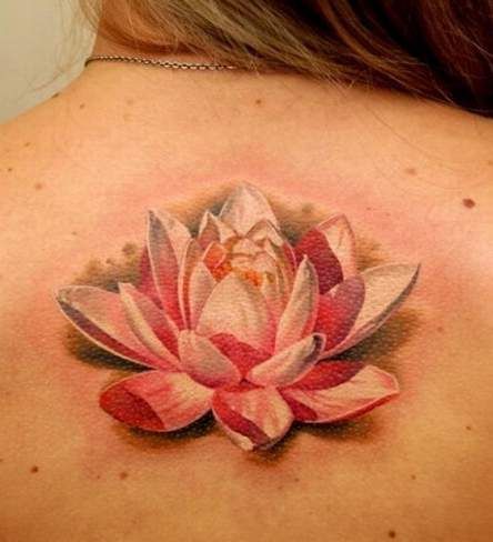 flower tattoo Frangipani Tattoo, Ampersand Tattoo, Water Lily Tattoo, Water Lily Tattoos, Lotus Tattoos, Tattoo Lotus, Lily Flower Tattoos, Lotus Tattoo Design, Beautiful Flower Tattoos