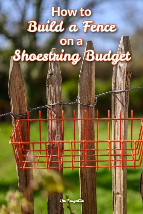 Colette shares how she built her garden-saving fence on a shoestring budget. Even if you don't need a fence, you can surely find inspiration! #budgetfence #saveonfencing Build A Fence On A Budget, Snow Fence Garden, Fencing On A Budget, Wood Snow Fence, Fence On A Budget, Plastic Garden Fencing, Build A Fence, Deer Bedding, Snow Fence