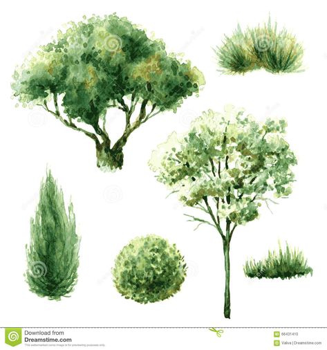 Set Of Green Trees And Bushes. - Download From Over 64 Million High Quality Stock Photos, Images, Vectors. Sign up for FREE today. Image: 66431410