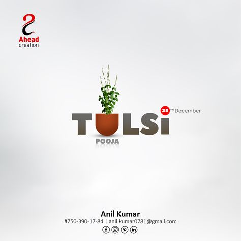 25th December Tulsi Logo Design, Tulsi Vivah Creative Ads, Car Pose, Tulsi Vivah, Tulsi Tea, Baby Photography Backdrop, Festival Post, 25th December, Digital Advertising Design