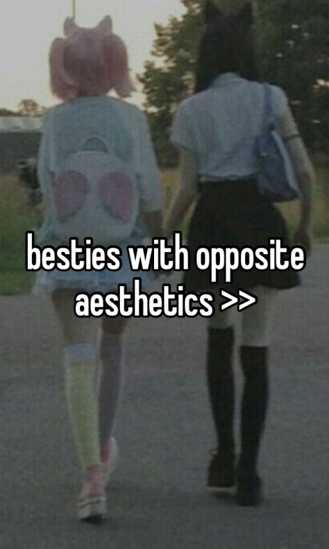 Opposite Astetics Friends, Best Friends With Opposite Aesthetics, Best Friend Opposites, Opposite Best Friends Aesthetic, Polar Opposites Friends, Opposite Friends Aesthetic, Opposite Aesthetic Friends, Opposites Aesthetic, Opposite Besties