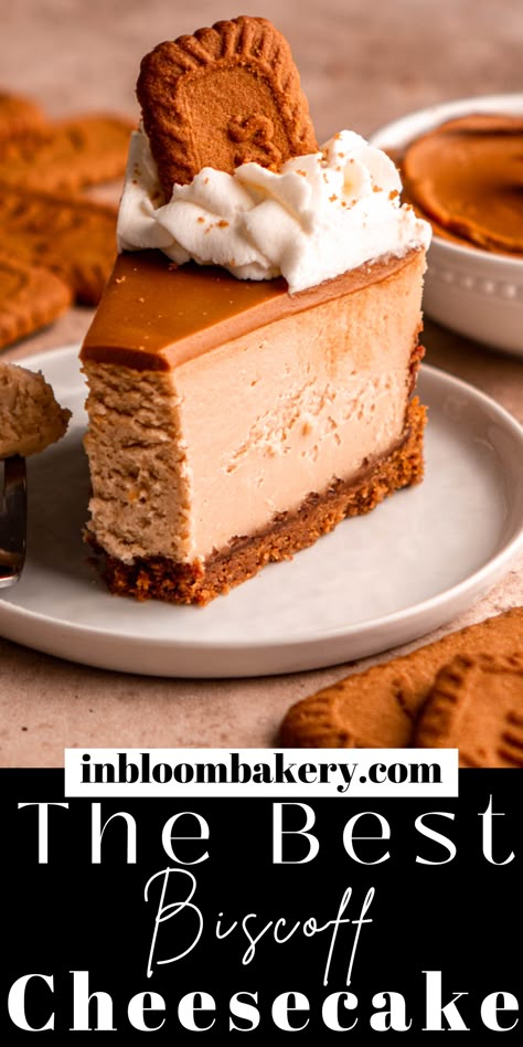 This is the best Biscoff cheesecake recipe! It's a simple recipe for creamy, cookie butter cheesecake with a Biscoff cookie crust, topped with cookie butter. This cheesecake is perfect dessert for all the Biscoff lovers in your life! Biscoff Cookie Cheesecake, Biscoff Cookie Dip, Cookie Butter Tart, Biscoff Cheesecake Baked, Biscoff Recipes Cheesecake, Cookie Butter Cheesecake Recipes, Butter Beer Cheesecake, Biscoff Pie Recipes, Biscoff Cookie Butter Cheesecake