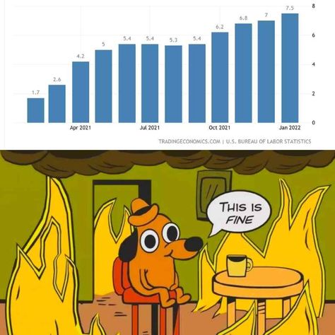 this is fine meme inflation 2022 Inflation Jokes, Intellectual Memes Hilarious, Ugly Meme Funny, This Is Fine Meme, Fat Memes Funny, Big Belly Memes, Buying Groceries, Comic Relief, Work Memes