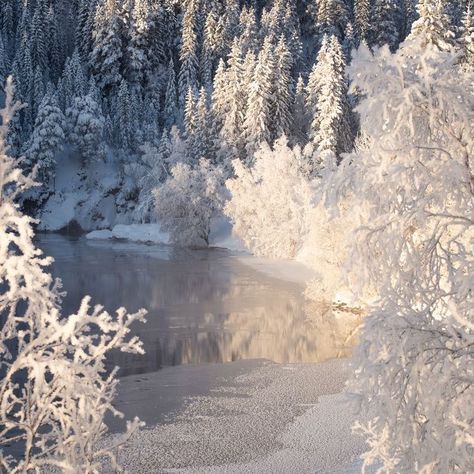 Winter Princess, Snow Fairy, Snow Princess, Winter Fairy, I Love Winter, Winter Scenery, Snow Queen, Winter Wonder, Winter Aesthetic