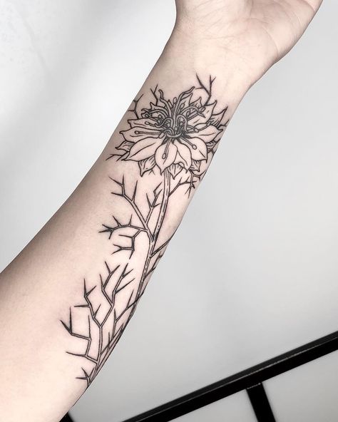 Katy Wiedemann on Instagram: “Custom Love-in-a-Mist flower and bud! I had never seen this flower before my client sent it to me and it’s so cool! . . . . .…” Mist Tattoo, Art Flower Tattoo, Love In The Mist Flower, Love In A Mist Flower, Nigella Flower, Mist Flower, Love In The Mist, Love In A Mist, Botanical Tattoo