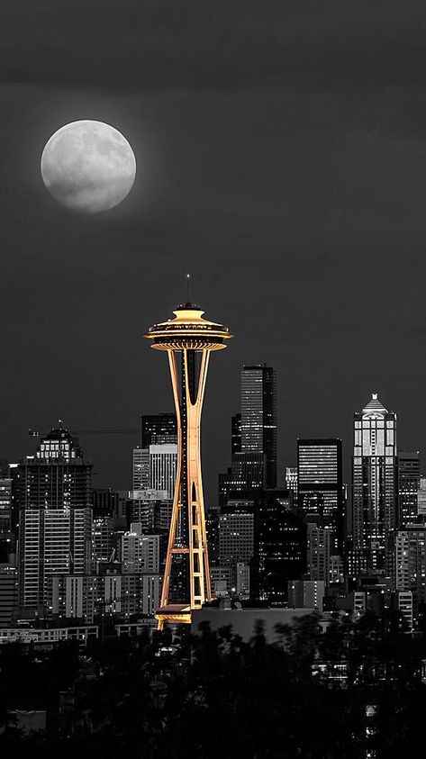 Seattle Greys Anatomy, Seattle Aesthetic Wallpaper, Greys Anatomy Lockscreen, Greys Anatomy Seattle, Greys Anatomy Art, Grey's Anatomy Aesthetic Wallpaper, Greys Anatomy Aesthetic, Greys Anatomy Wallpaper, Seattle Wallpaper