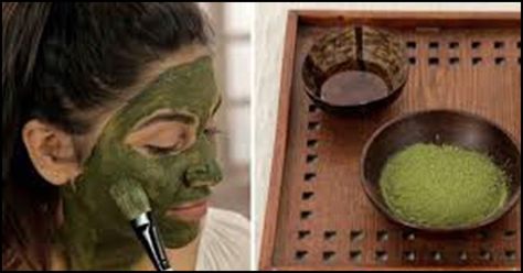 Yes, you read that right. In this article we bring to you green tea face packs for all skin types. Read on to know how they can work wonders for your skin. Green Tea Skin Benefits, Tea Face Mask, Japanese Beauty Secrets, Green Tea Skin, Green Tea Face Mask, Green Tea Facial, Green Tea Face, Acne Free Skin, Tumeric Face Mask