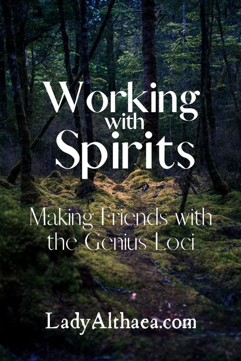 Working With Spirits Witchcraft, Working With Spirits, Witch Abilities, Norse Wicca, Land Spirits, Herb Room, Taurus Witch, Celtic Wicca, Bone Reading