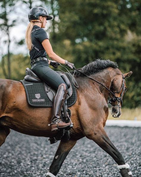 Equestrian Show Outfit, Horse Tack Aesthetic, English Horse Riding Aesthetic, Outfit Equitation, English Riding Aesthetic, Equestrian Outfits Aesthetic, Dressage Aesthetic, Equitation Aesthetic, Dressage Photography